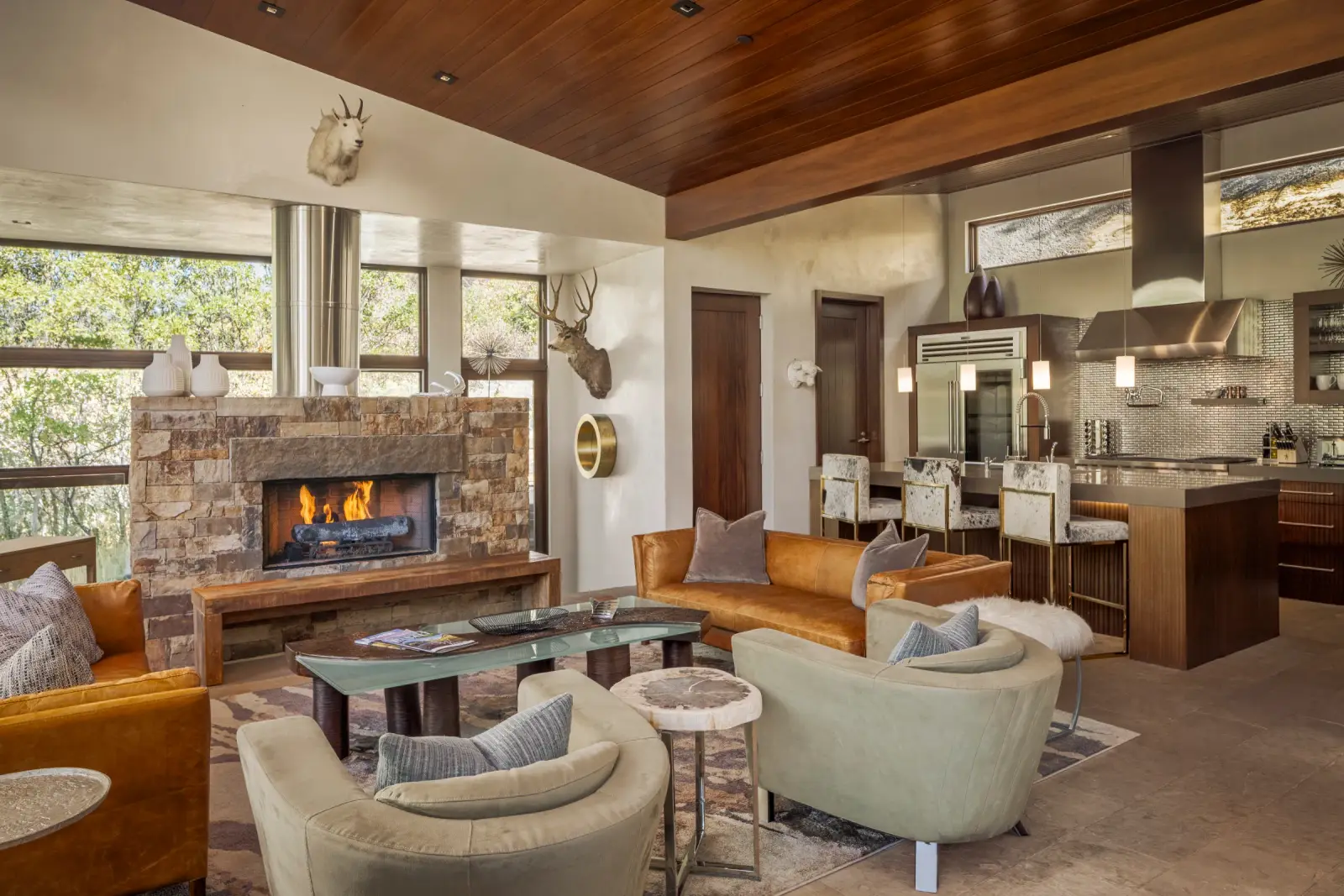 Silver King, Aspen – living