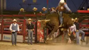 Saddle Up For Summer image