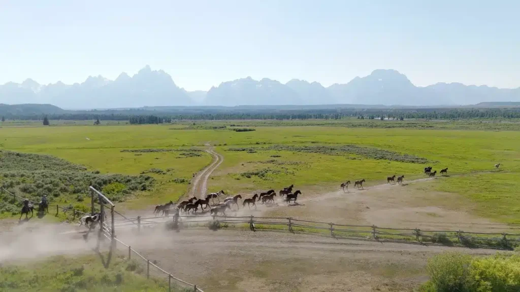 Exploring Jackson - Top Places to Stay and Must-See Spots!