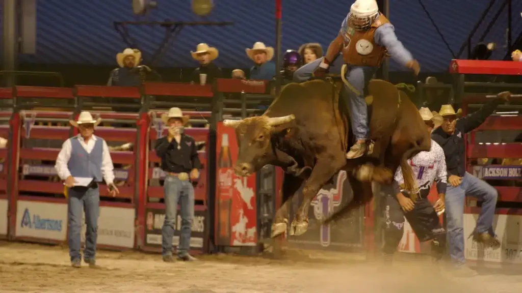 Saddle Up For Summer image